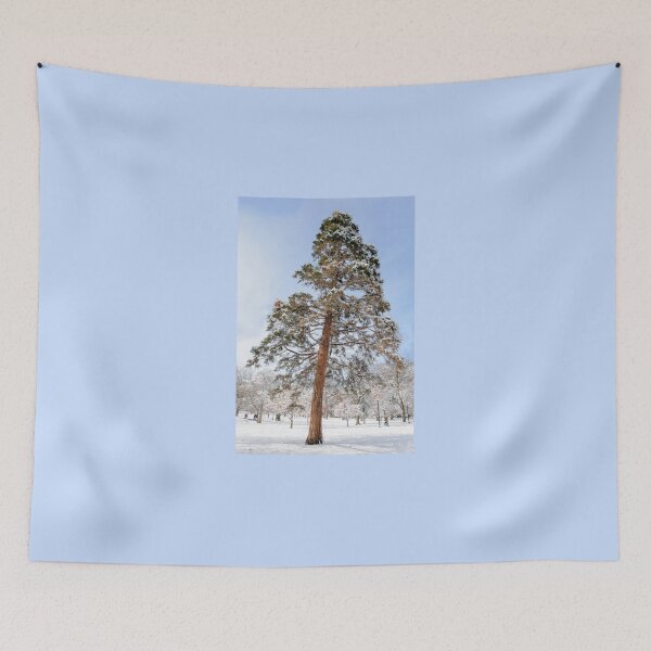Aperçu de l'œuvre Winter Pine créée et vendue par LudaNayvelt.
