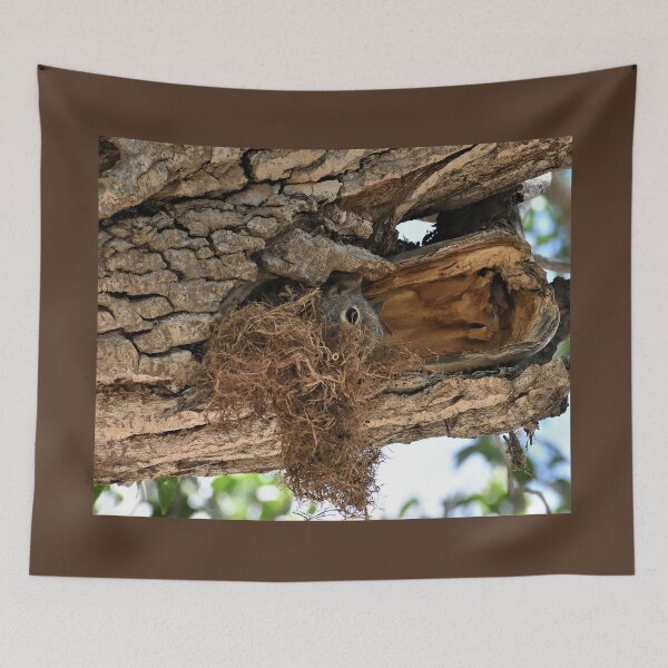 Item preview, Squirrel Condo designed and sold by Len Bomba.
