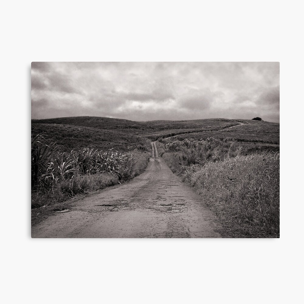 The Road to Extinction Canvas Print