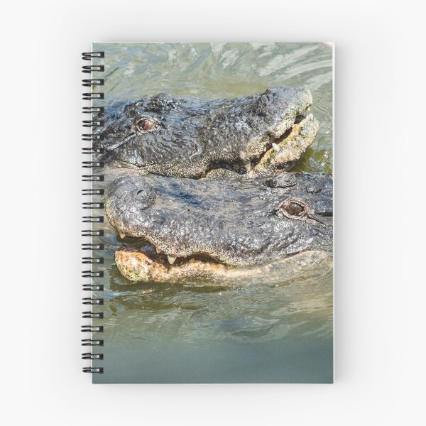 Item preview, Double trouble with Alligators designed and sold by KensLensDesigns.