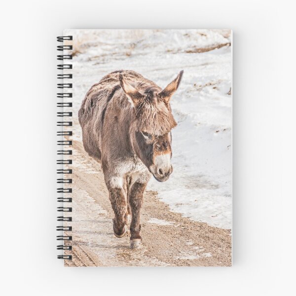 Item preview, Donkey with Bangs On a Dirt Road designed and sold by Sue Smith.