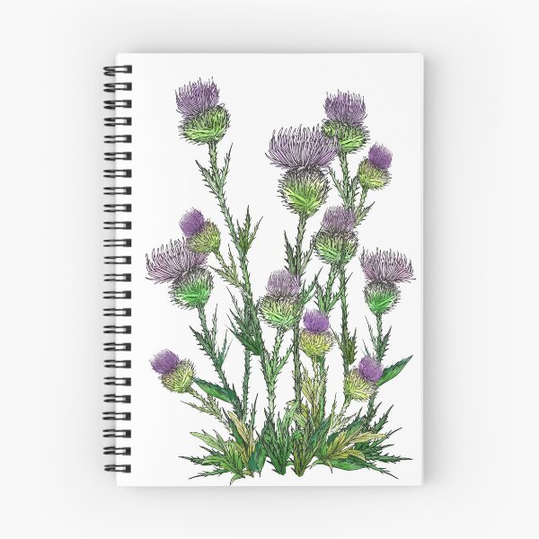 Item preview, Thistle  designed and sold by PAPERPLAN.