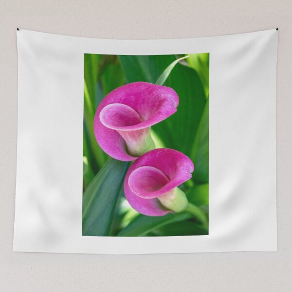 Item preview, Two Calla Lillies designed and sold by DPalmer.