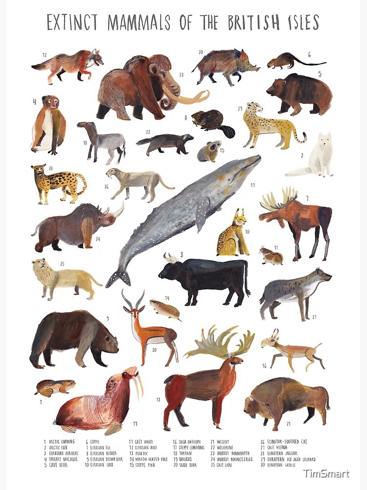 Extinct animals of the British Isles Extinct animals of the British Isles