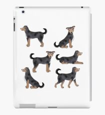 Mixed breed Lumpi iPad Case/Skin
