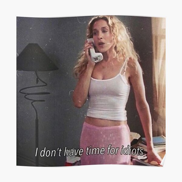 I don't have time for idiots Poster