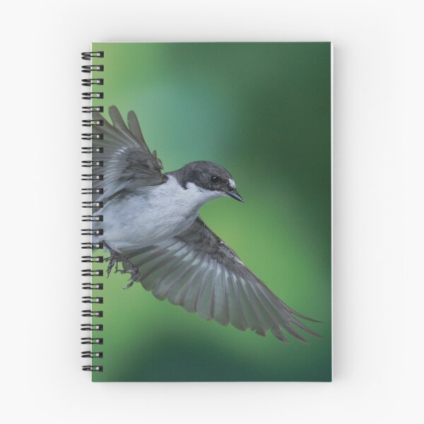 Item preview, Pied flycatcher in flight designed and sold by Susan Purveur.