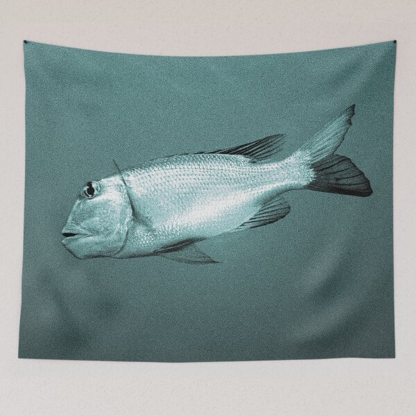 Item preview, Brothers Islands Emperor - Red Sea designed and sold by ernest123.