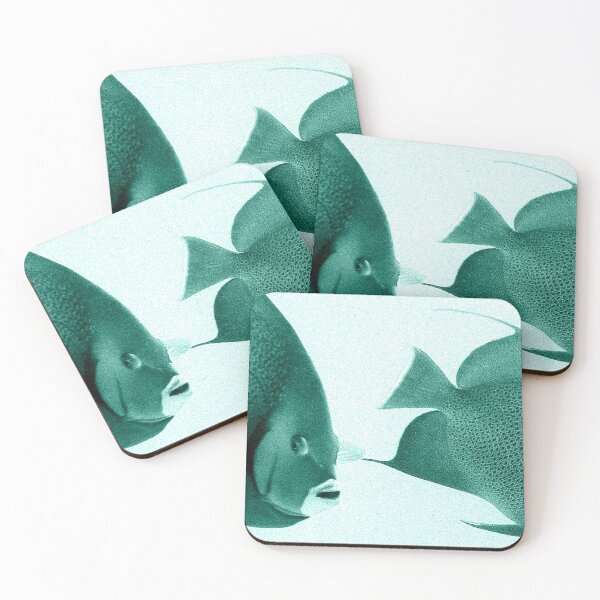 Item preview, Grey Angelfish - Grand Cayman designed and sold by ernest123.