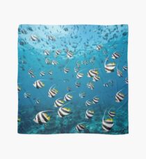 Flying High Scarf
