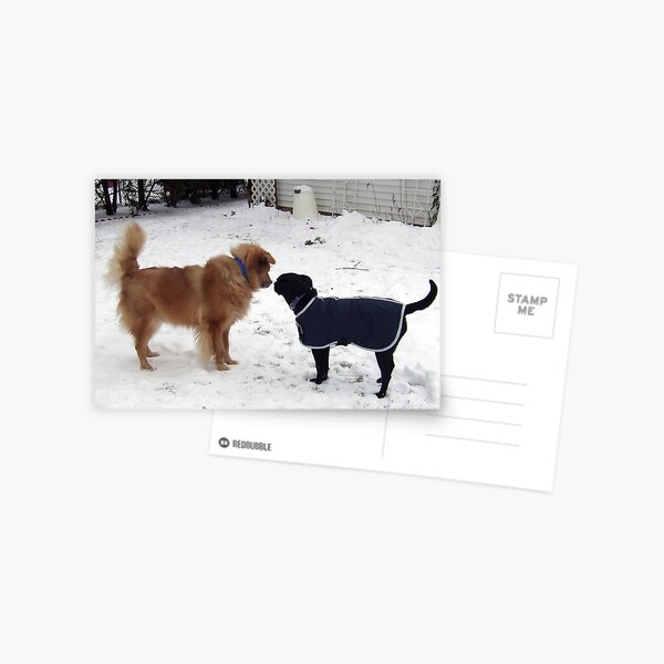 BECOMING FRIENDS Postcard