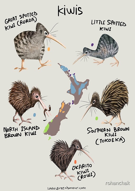 "Kiwis" By Rohanchak | Redbubble