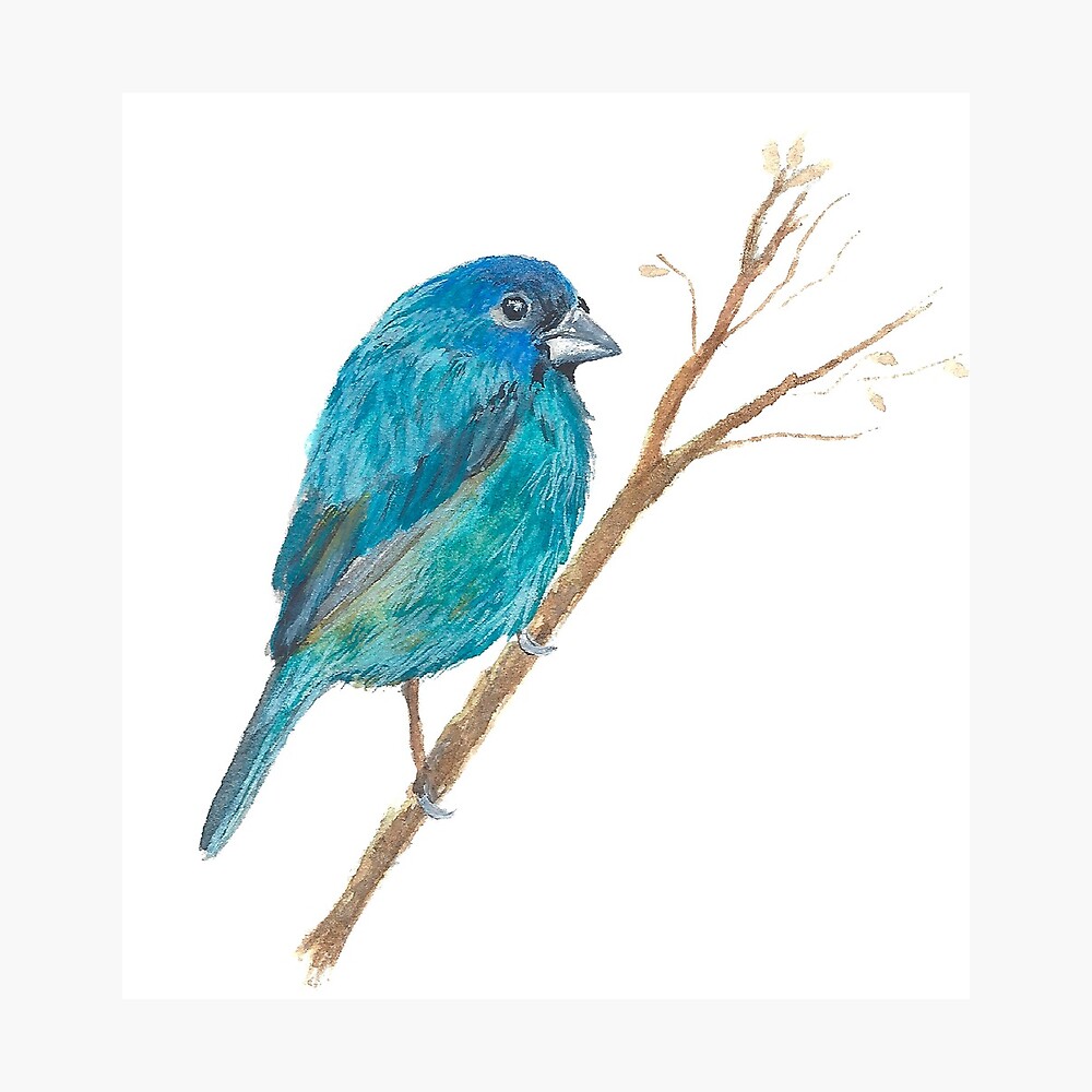 Indigo Bunting Watercolor Art Print Blue Bird Handmade Products Home Kitchen