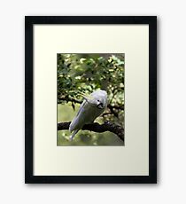 G'Day Sexy Framed Print