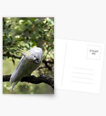 G'Day Sexy Postcards