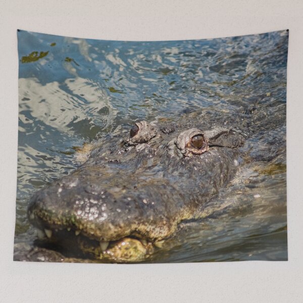 Item preview, South Orange of Alligator  designed and sold by KensLensDesigns.