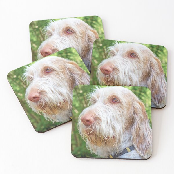 Item preview, Thinking thoughts Spinone by heidiannemorris designed and sold by FOLK ART FUSION by heidiannemorris.