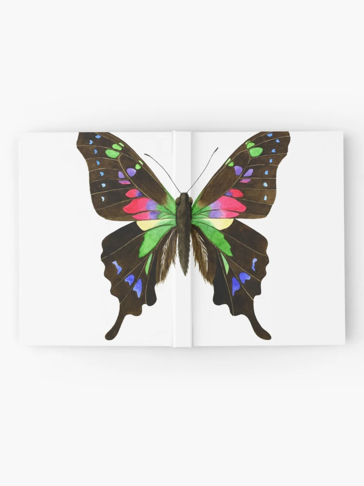 The Purple-Spotted Swallowtail Butterfly