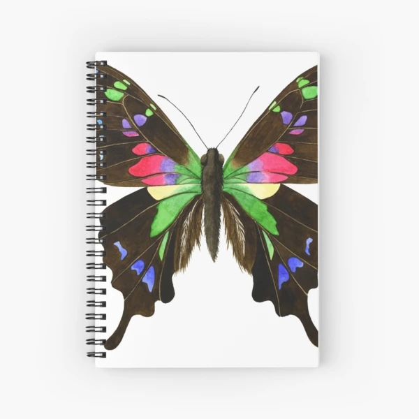 The Purple-Spotted Swallowtail Butterfly