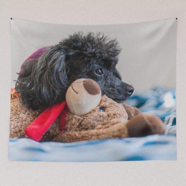 Item preview, For the Love of toys designed and sold by KensLensDesigns.