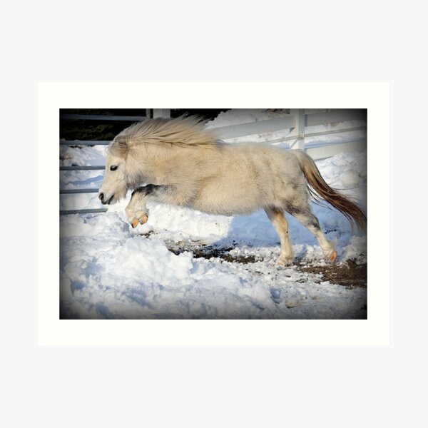Snow Angel Art Print