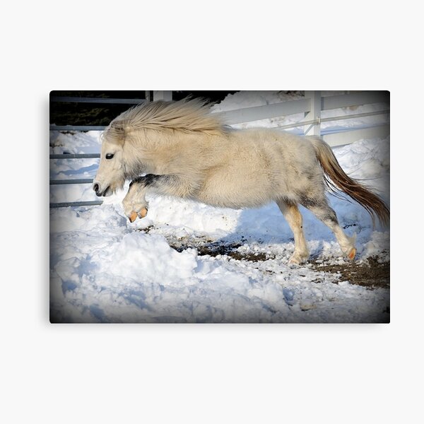 Snow Angel Canvas Print