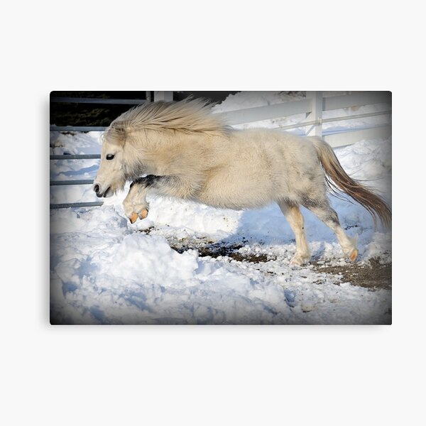 Snow Angel Metal Print