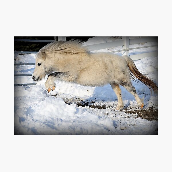 Snow Angel Photographic Print