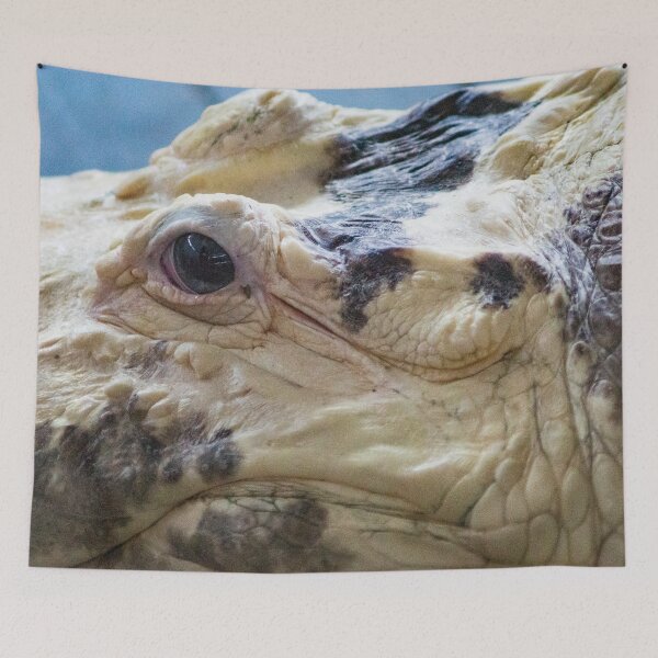 Item preview, Albino Alligator designed and sold by KensLensDesigns.