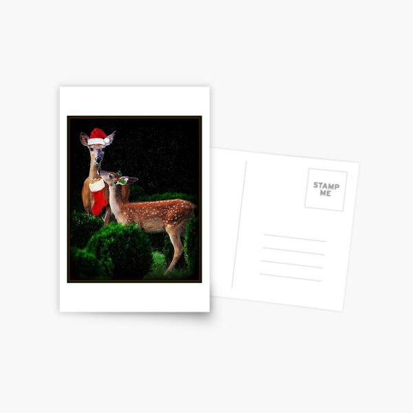 Christmas Deer Postcard