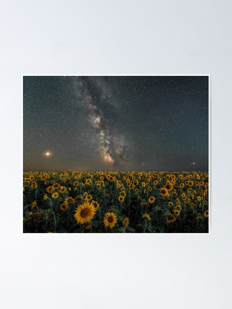 Póster «Galaxia girasol» de angelicasaluzzo | Redbubble