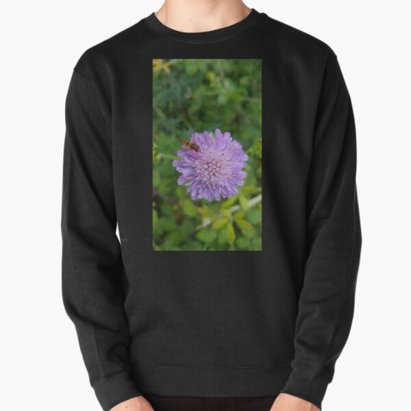 Hoverfly on a Field Scabious Pullover Sweatshirt