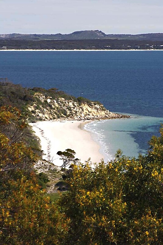 "American River, Kangaroo Island, South Australia" Posters by Carissa