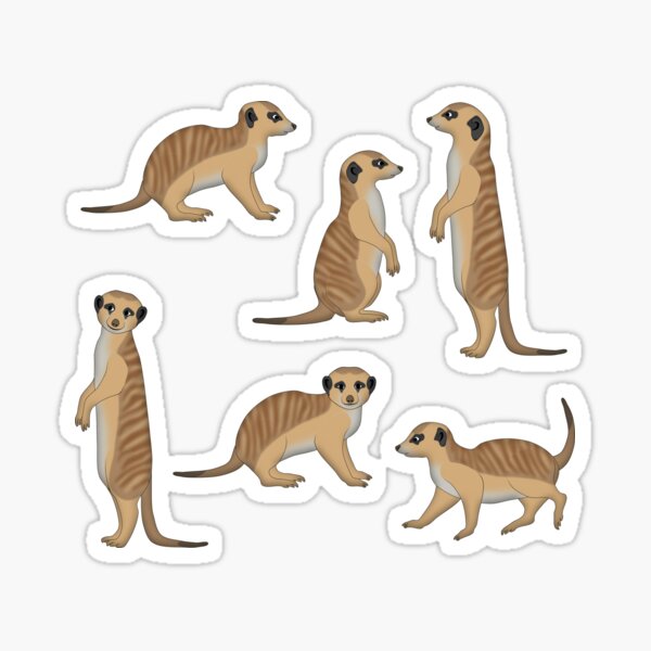 Erdmännchen Sticker