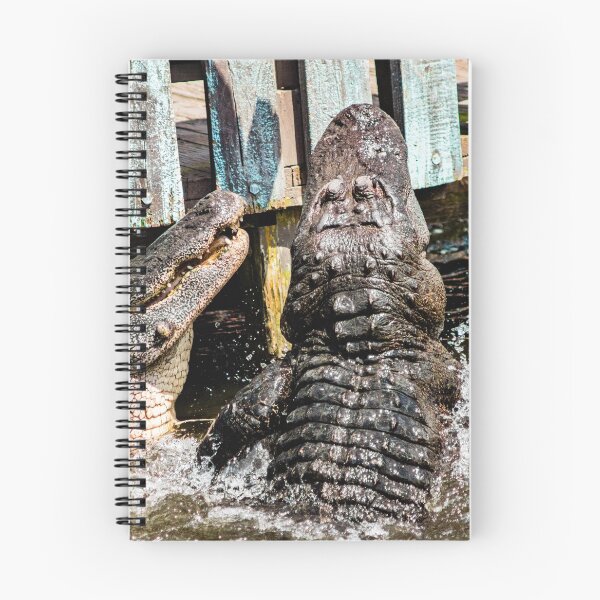 Item preview, Gator time fight designed and sold by KensLensDesigns.
