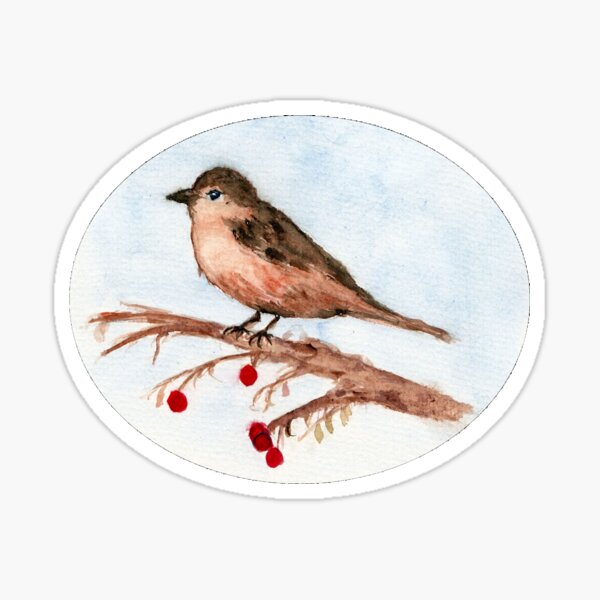 Kleiner Spatz Sticker