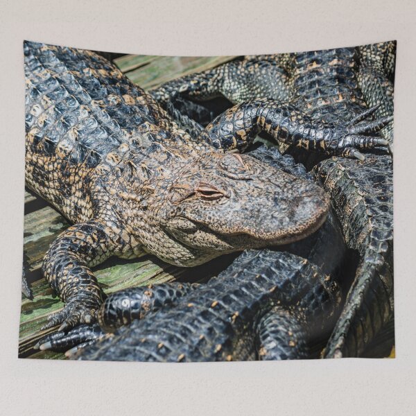 Item preview, Pile of Alligators designed and sold by KensLensDesigns.