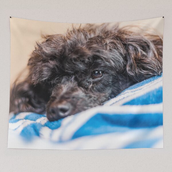 Item preview, Gentle Dog designed and sold by KensLensDesigns.
