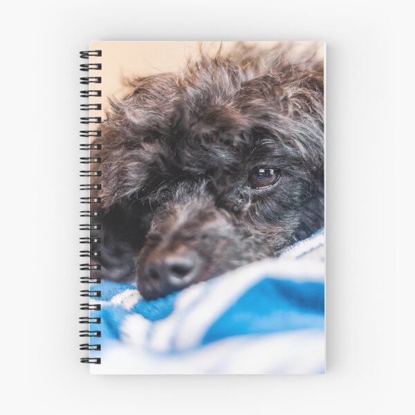 Item preview, Gentle Dog designed and sold by KensLensDesigns.