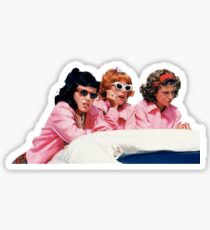 pink ladies sticker Sticker