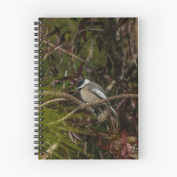 Item preview, Chickadee designed and sold by KensLensDesigns.