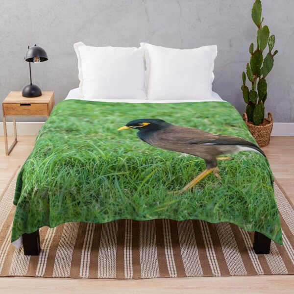 Item preview, Common Myna designed and sold by KensLensDesigns.