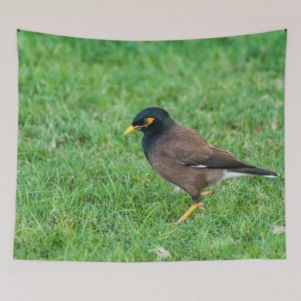 Item preview, Common Myna designed and sold by KensLensDesigns.