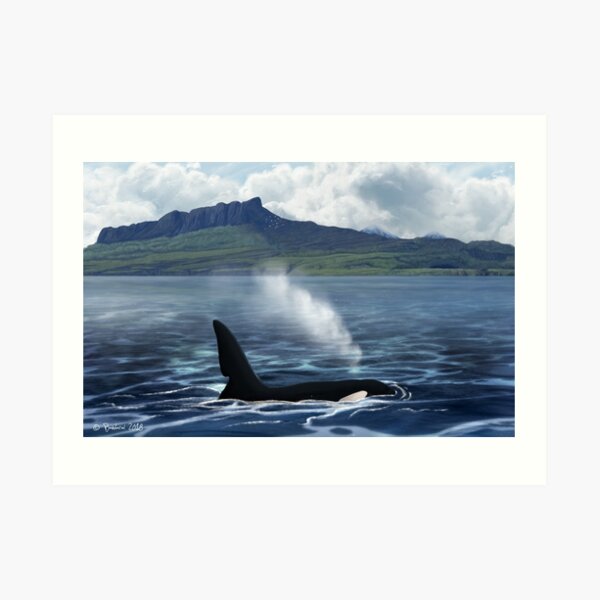 John Coe Art Print