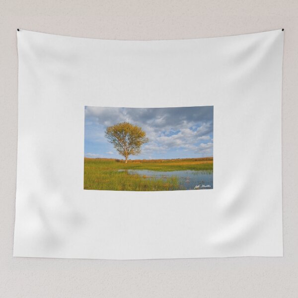Item preview, Lone Tree by a Wetland designed and sold by Jeff Goulden Photography.