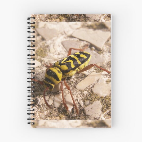 Item preview, macro yellow insect image shirt designed and sold by mowafak younis.