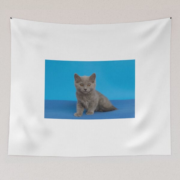 Item preview, Young Chartreux cat on blue blanket designed and sold by cunfek.