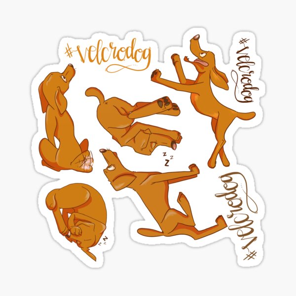 Velcrodog Sticker
