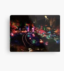 Night in the Sunken Garden(2) Metal Print