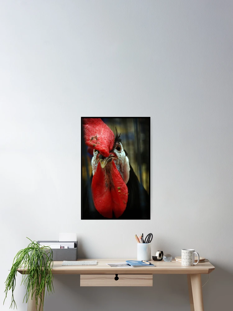 Thumbnail 2 of 3, Poster, In-raged Chicken In-caged designed and sold by Rdestruction.